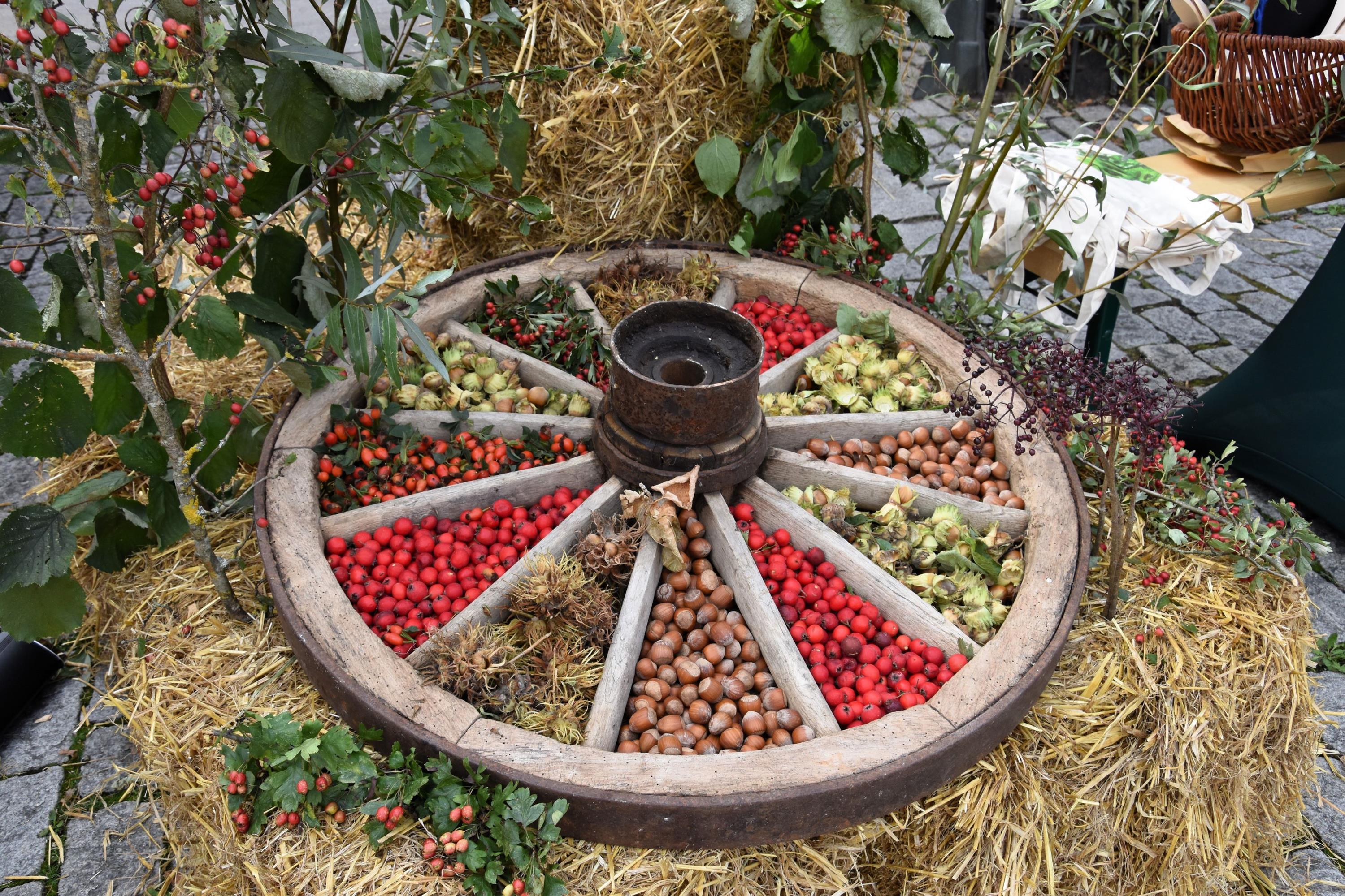 Regional- und Umwelttage im Landkreis am 20. und 21. September