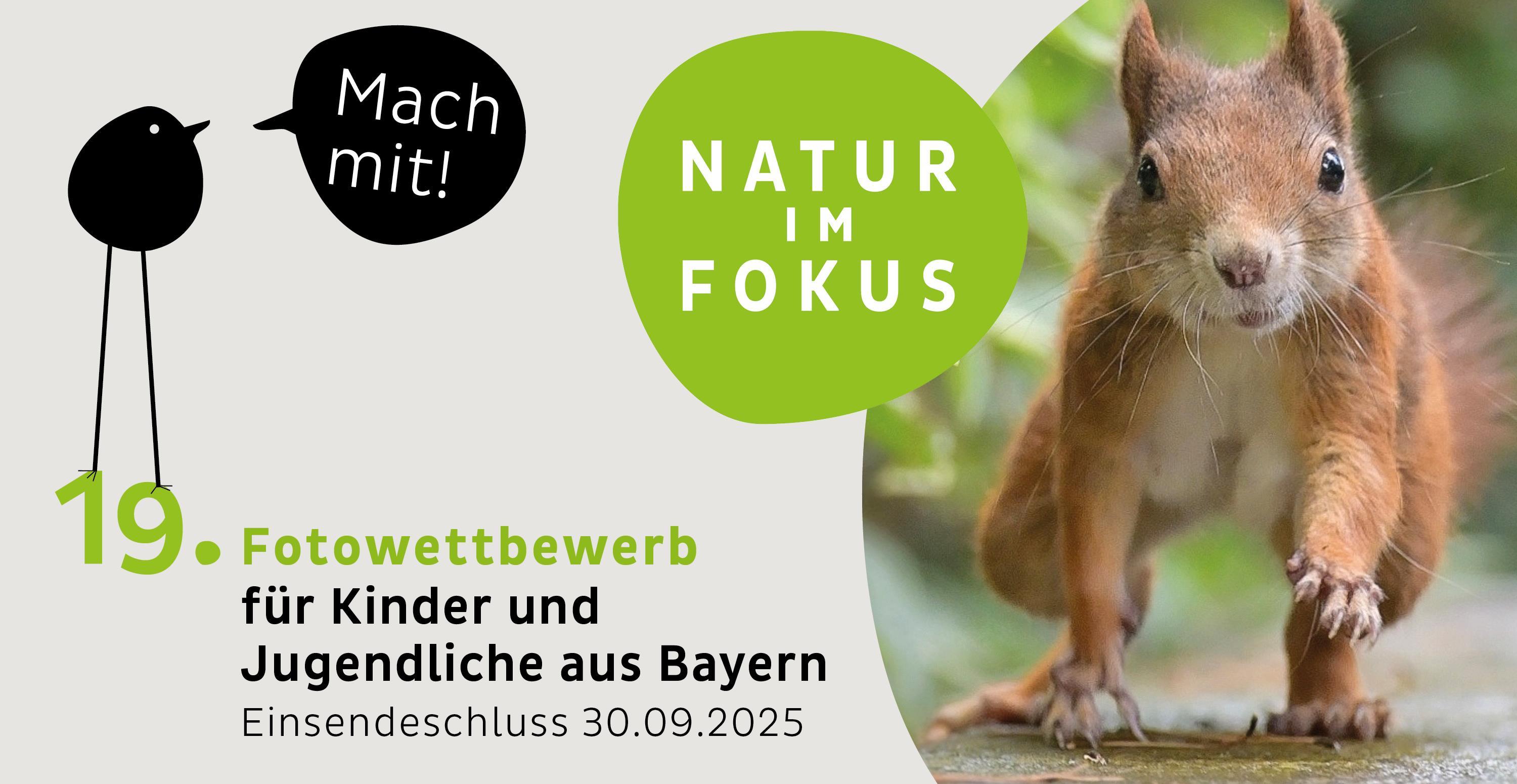 Fotowettbewerb Natur im Fokus
