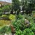 Garten voll mit grünen Pflanzen, Bäumen und orangen Blumen rechts