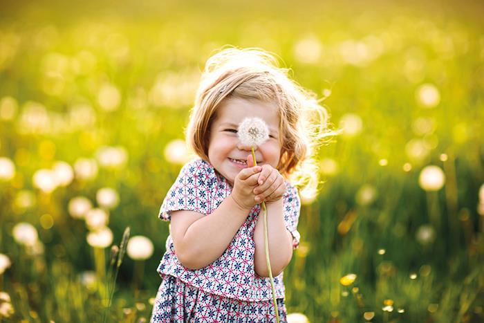 Junges Mädchen auf einer Wiese hält eine Pusteblume vor ihr Gesicht.