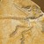 UrvogelArchaeopteryx.jpg