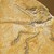UrvogelArchaeopteryx.jpg